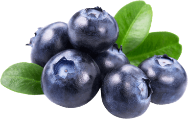 Blueberry Iced Tea
