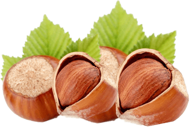 Hazelnut Frappe